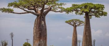 Madagaskar- wycieczki | organizacja egzotycznych wyjazdów dla firm